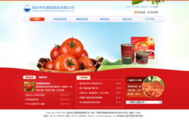 高臺中化番茄制品有限公司