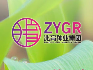 【簽約】河北兆育種業(yè)集團(tuán)有限公司，簽署網(wǎng)站改版升級合同