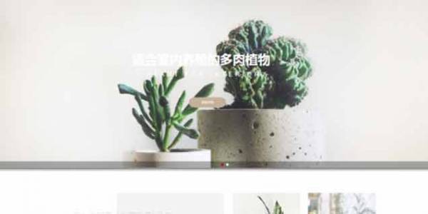 如何開發公司網站制作Web 前端?