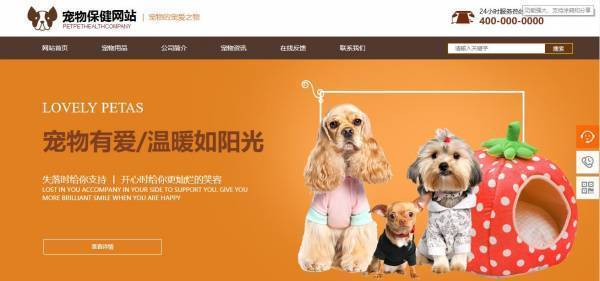 公司網(wǎng)站制作，明確建站目的和功能定位